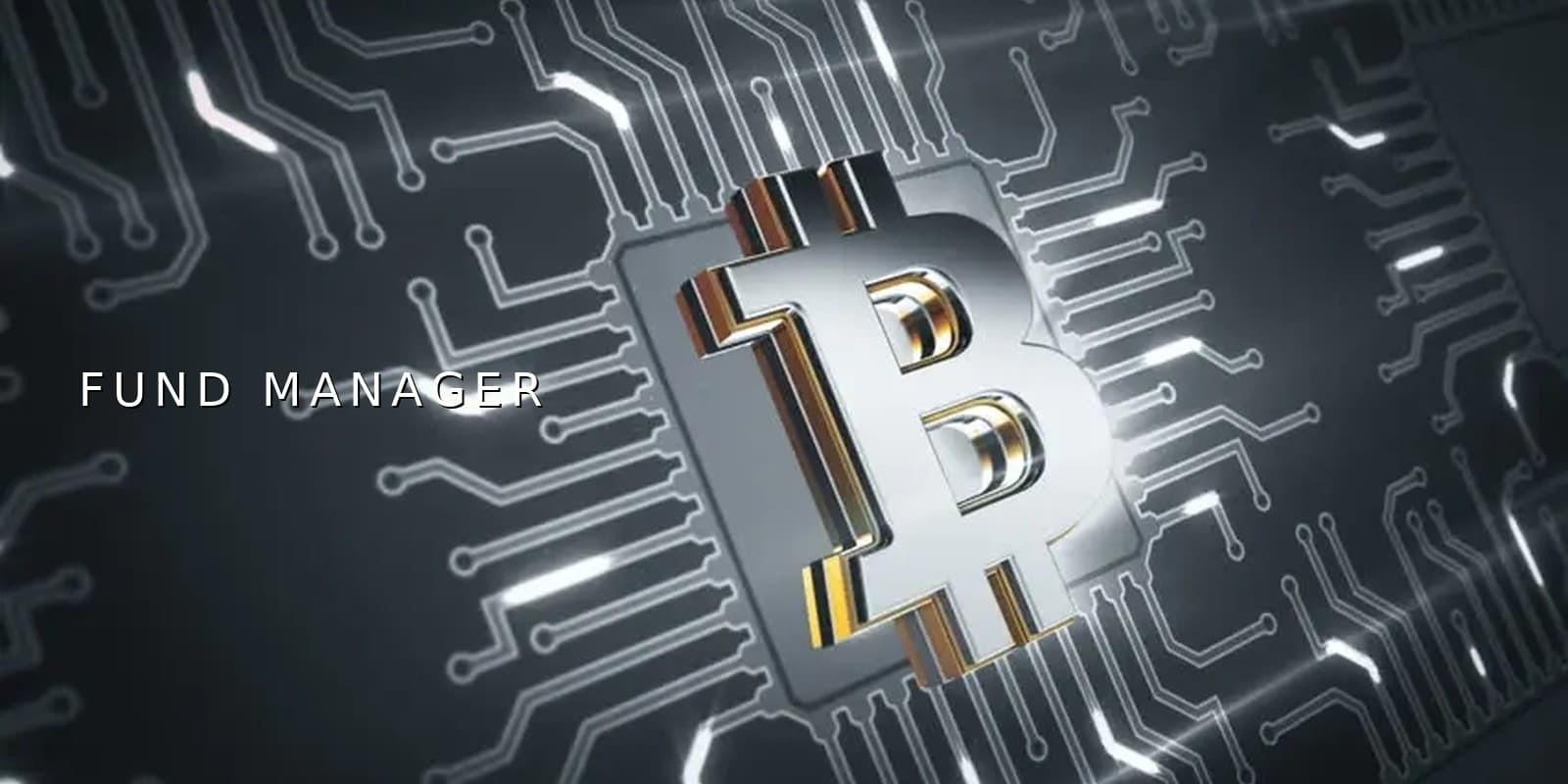 B-Mega Coach cover